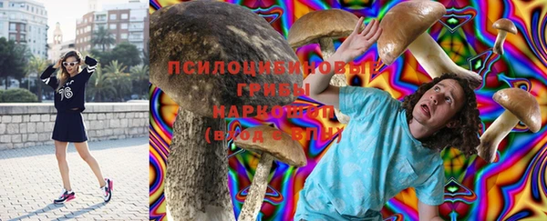 твердый Горно-Алтайск
