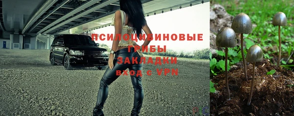 твердый Горно-Алтайск