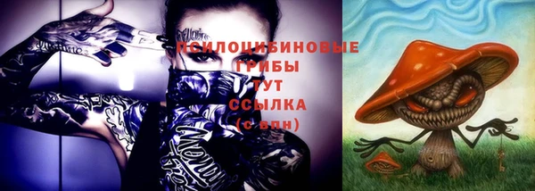эйфоретик Горняк