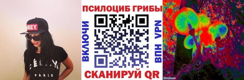 Псилоцибиновые грибы Psilocybe  как найти наркотики  Могоча 